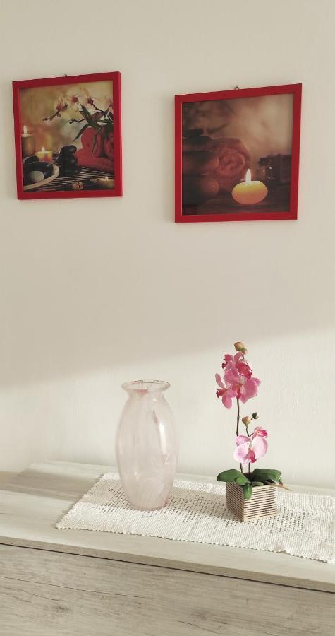 罗马La Casa Di Dany公寓 外观 照片